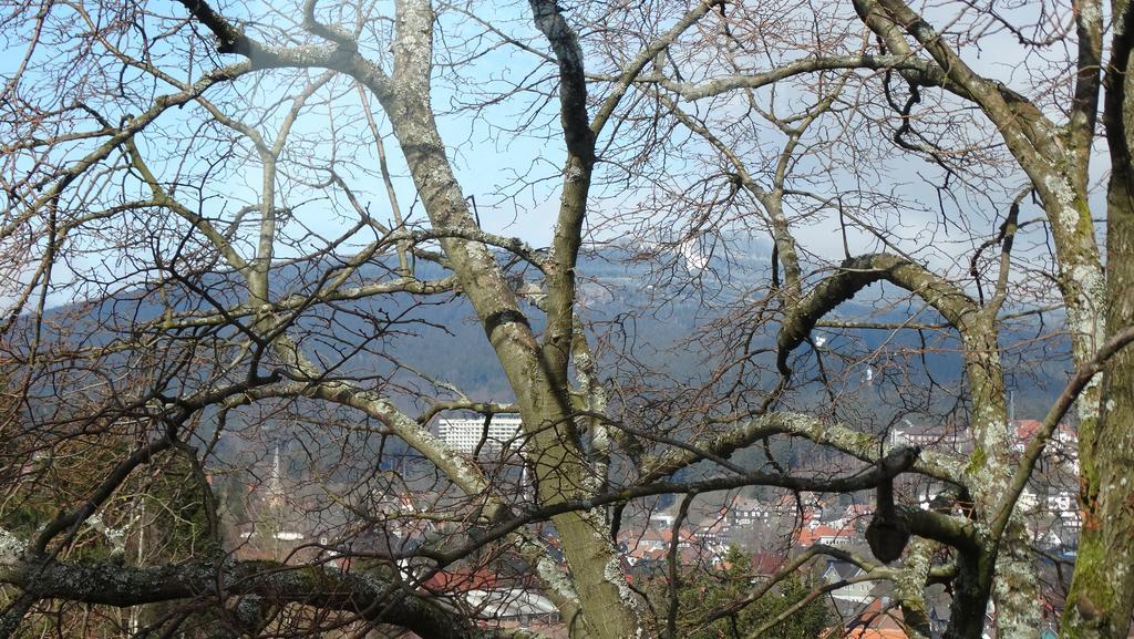 Bergziege *