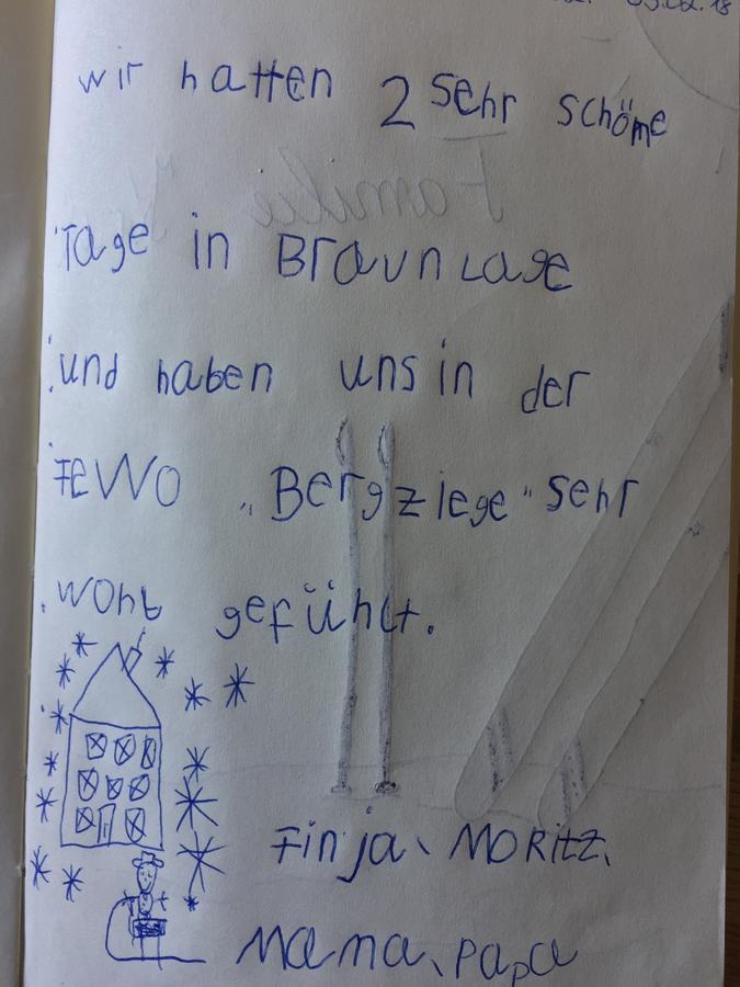 Bergziege